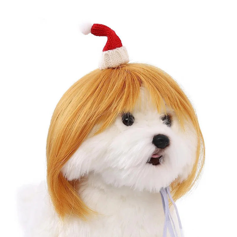 Peruca para animais de estimação, peruca para cães e gatos, acessórios para animais de estimação, cabelo cacheado, cabelo liso, faça você mesmo, acessório para peruca de cabelo trançado à mão