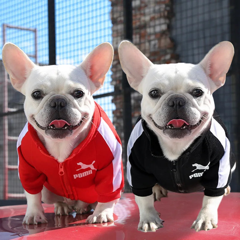 Jaqueta de beisebol para cachorro, roupas de inverno para cães pequenos e médios, colete para filhotes, moletom para buldogue francês, fantasia de chihuahua, casaco pug