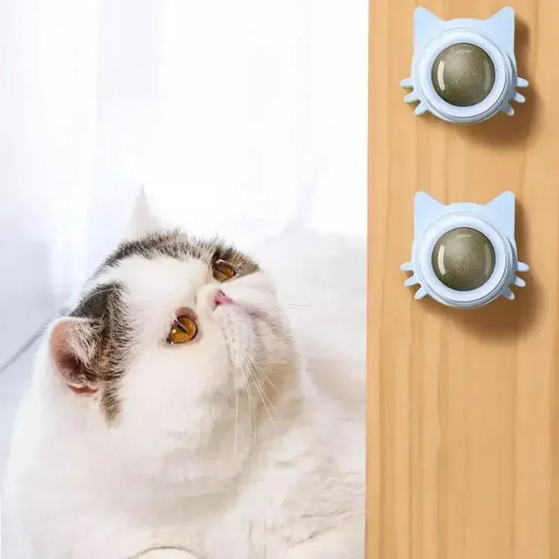 Bolas de Catnip Engraçadas para Gatos Lamber Bolas de Catnip Gatinho Brincando de Mastigar e Limpar os Dentes Brinquedo para Gatos Pequenos e Médios Suprimentos para Animais de Estimação