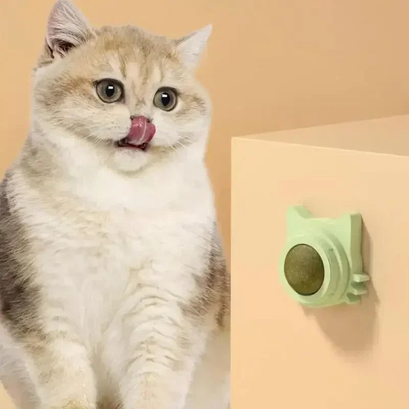 Bolas de Catnip Engraçadas para Gatos Lamber Bolas de Catnip Gatinho Brincando de Mastigar e Limpar os Dentes Brinquedo para Gatos Pequenos e Médios Suprimentos para Animais de Estimação