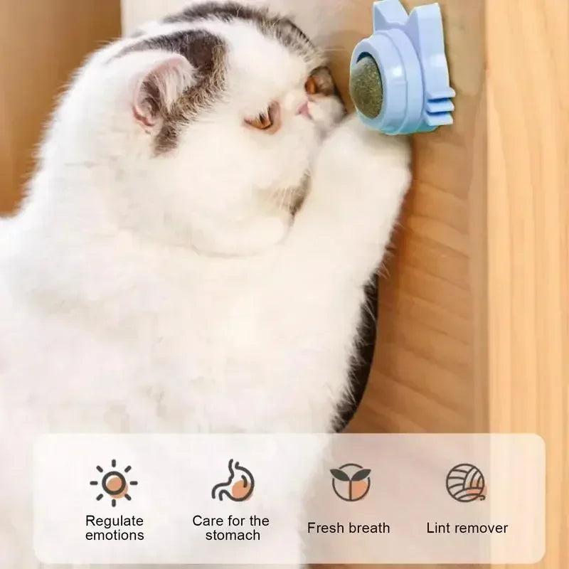 Bolas de Catnip Engraçadas para Gatos Lamber Bolas de Catnip Gatinho Brincando de Mastigar e Limpar os Dentes Brinquedo para Gatos Pequenos e Médios Suprimentos para Animais de Estimação