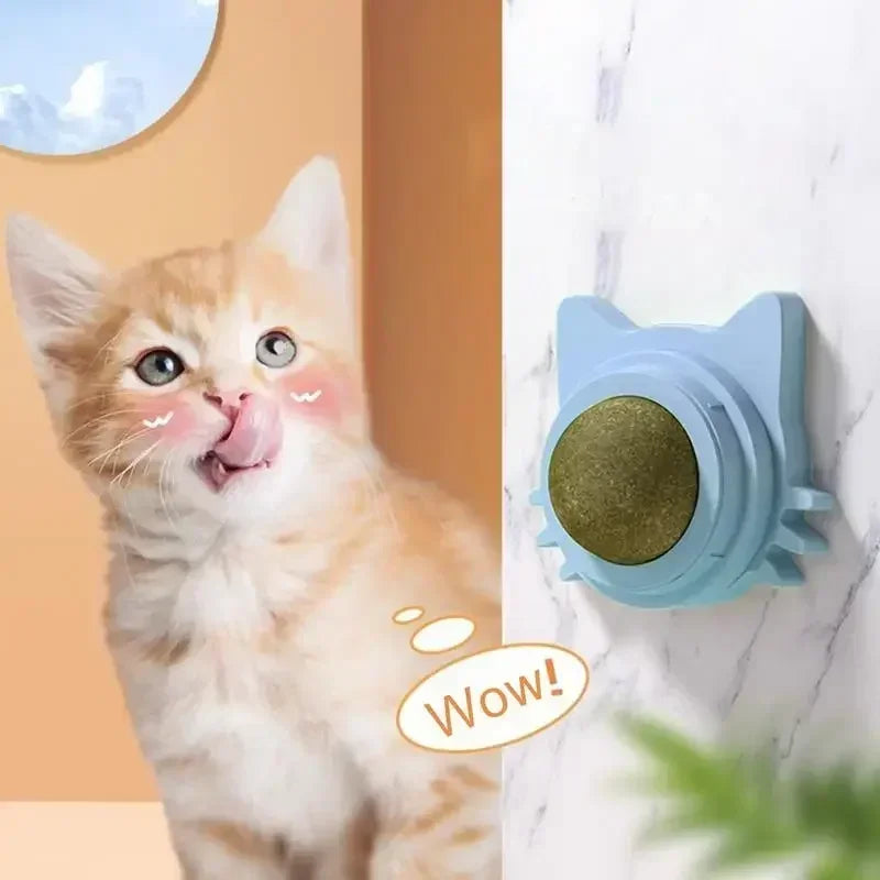 Bolas de Catnip Engraçadas para Gatos Lamber Bolas de Catnip Gatinho Brincando de Mastigar e Limpar os Dentes Brinquedo para Gatos Pequenos e Médios Suprimentos para Animais de Estimação