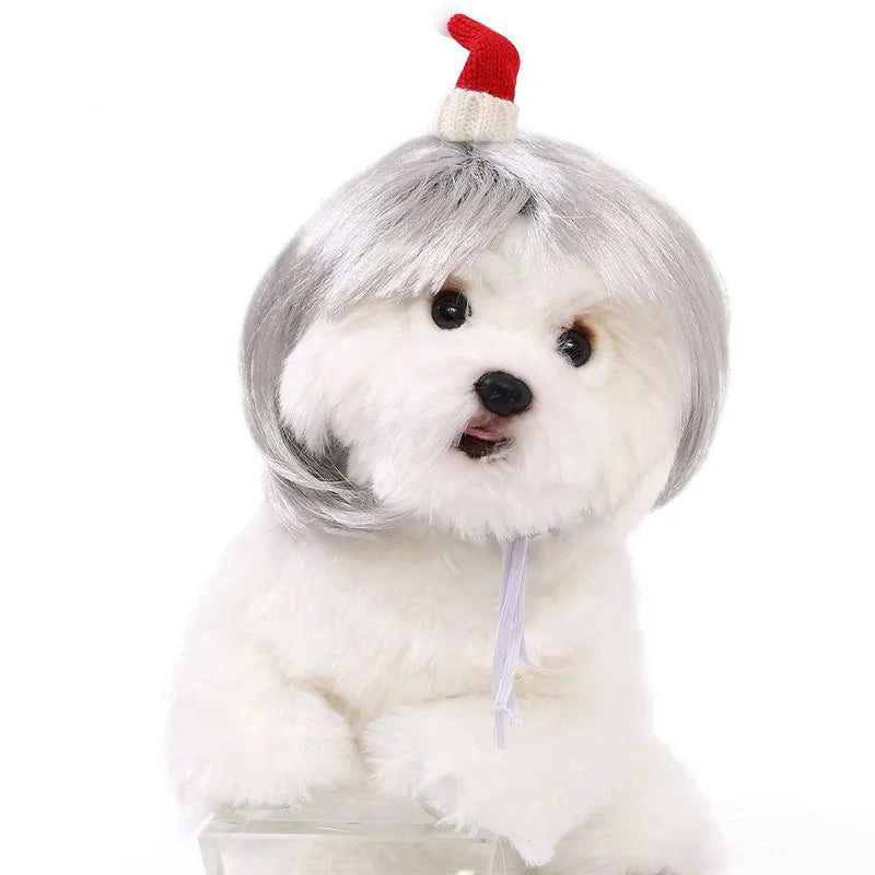Peruca para animais de estimação, peruca para cães e gatos, acessórios para animais de estimação, cabelo cacheado, cabelo liso, faça você mesmo, acessório para peruca de cabelo trançado à mão