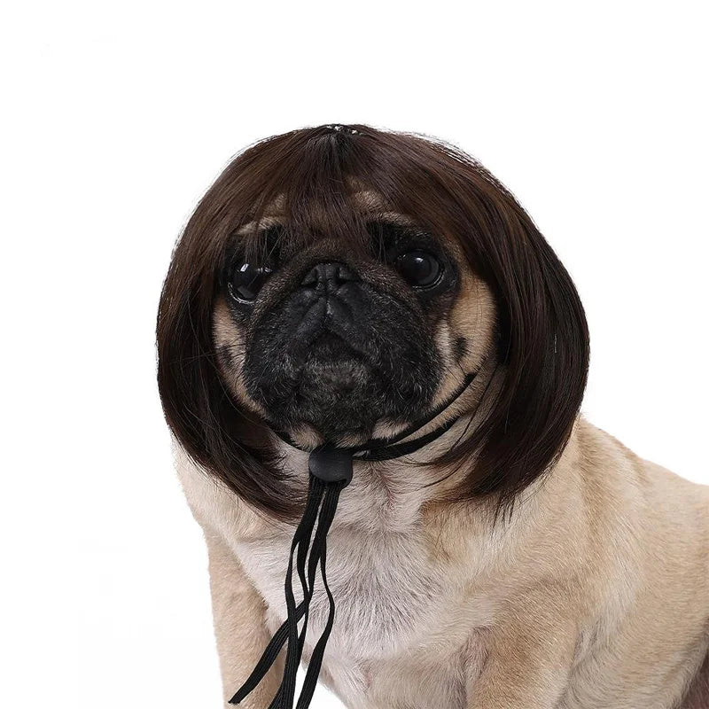 Peruca para animais de estimação, peruca para cães e gatos, acessórios para animais de estimação, cabelo cacheado, cabelo liso, faça você mesmo, acessório para peruca de cabelo trançado à mão