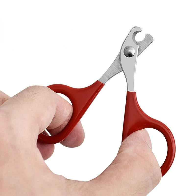 Tesoura profissional para unhas de gatos, cortador de unhas para cães de estimação, aparador de unhas para dedos dos pés, produtos para higiene de animais de estimação, produtos para cães pequenos, gadgets para cães