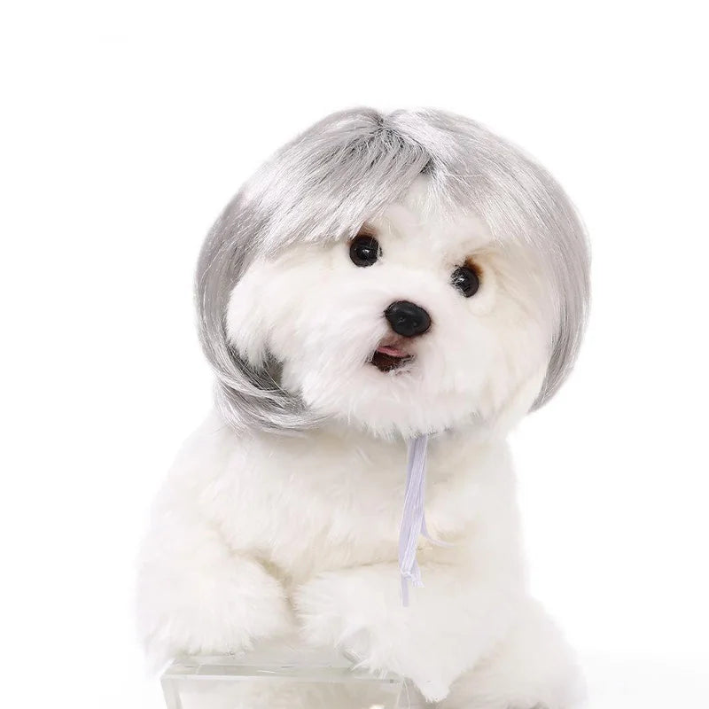Peruca para animais de estimação, peruca para cães e gatos, acessórios para animais de estimação, cabelo cacheado, cabelo liso, faça você mesmo, acessório para peruca de cabelo trançado à mão