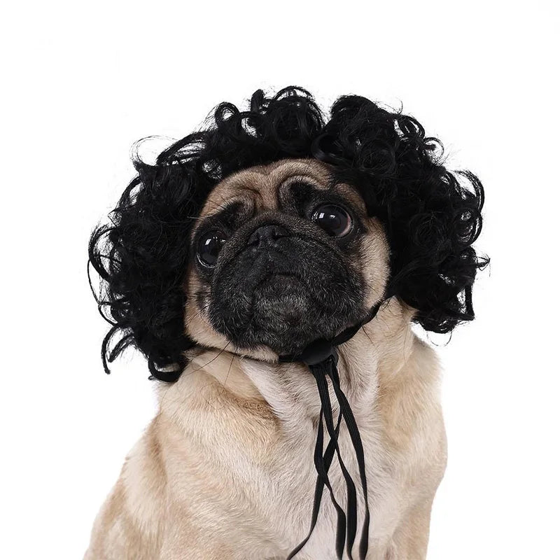 Peruca para animais de estimação, peruca para cães e gatos, acessórios para animais de estimação, cabelo cacheado, cabelo liso, faça você mesmo, acessório para peruca de cabelo trançado à mão