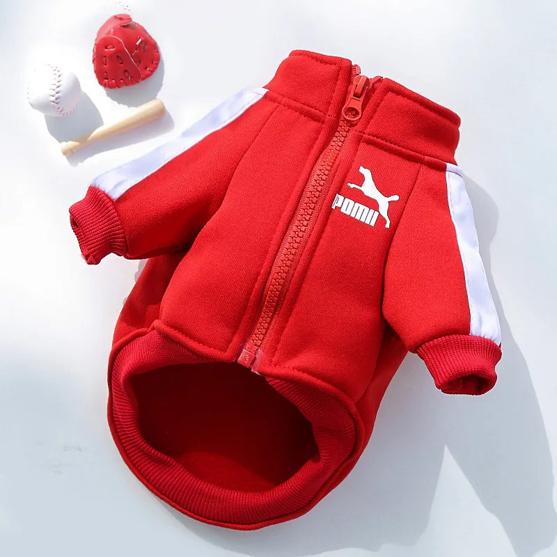 Jaqueta de beisebol para cachorro, roupas de inverno para cães pequenos e médios, colete para filhotes, moletom para buldogue francês, fantasia de chihuahua, casaco pug