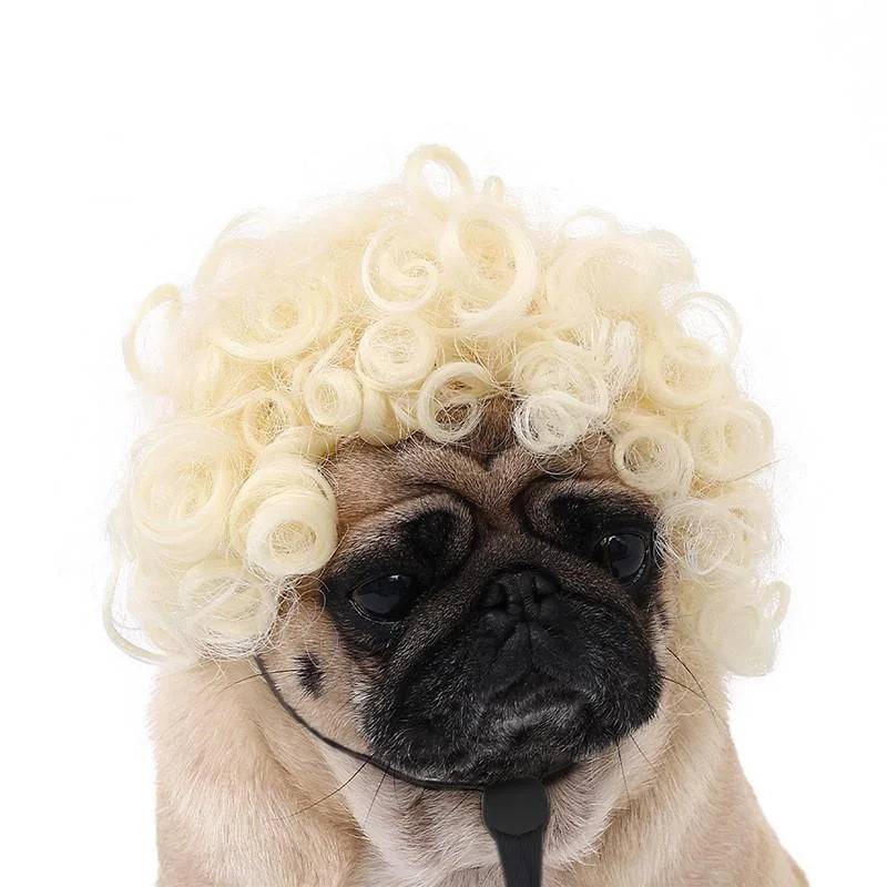Peruca para animais de estimação, peruca para cães e gatos, acessórios para animais de estimação, cabelo cacheado, cabelo liso, faça você mesmo, acessório para peruca de cabelo trançado à mão