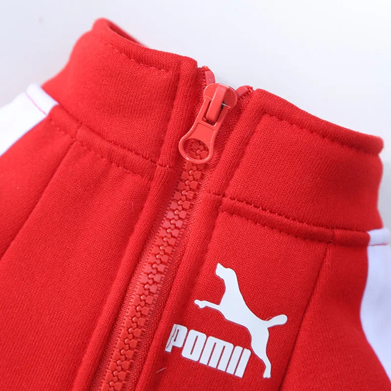 Jaqueta de beisebol para cachorro, roupas de inverno para cães pequenos e médios, colete para filhotes, moletom para buldogue francês, fantasia de chihuahua, casaco pug