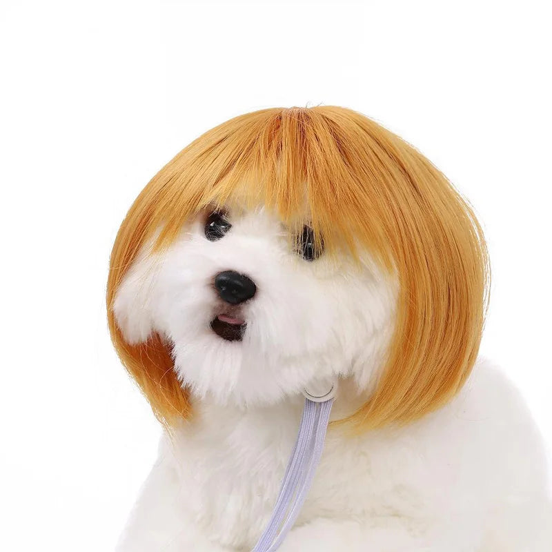 Peruca para animais de estimação, peruca para cães e gatos, acessórios para animais de estimação, cabelo cacheado, cabelo liso, faça você mesmo, acessório para peruca de cabelo trançado à mão