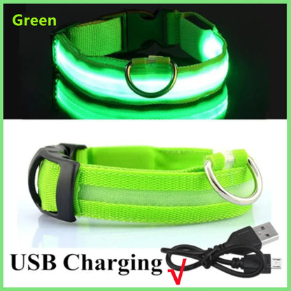 Coleira luminosa recarregável USB ajustável com LED brilhante para cães grandes e pequenos, coleira com luz noturna para gatos, arnês de segurança para animais de estimação