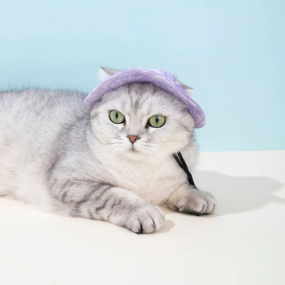 Chapéu para animais de estimação com furos para orelhas, chapéu fofo para cães e gatos, boné de beisebol colorido ajustável para cães pequenos e médios, suprimentos para animais de estimação