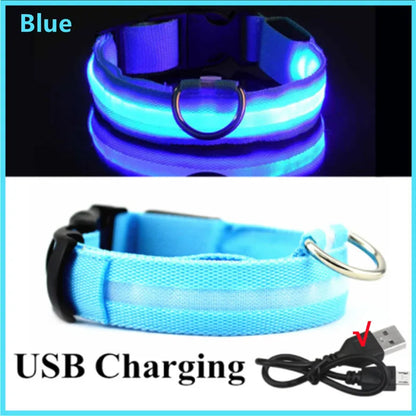 Coleira luminosa recarregável USB ajustável com LED brilhante para cães grandes e pequenos, coleira com luz noturna para gatos, arnês de segurança para animais de estimação