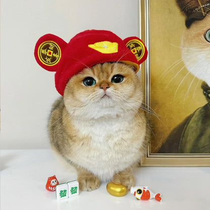 Boné de pelúcia engraçado para gato, urso, capa de cabeça fofa, chapéu de cachorro, chapéu de animal de estimação, gatinho, filhote, acessórios para fantasia cosplay