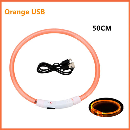 Coleira luminosa recarregável USB ajustável com LED brilhante para cães grandes e pequenos, coleira com luz noturna para gatos, arnês de segurança para animais de estimação