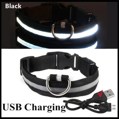 Coleira luminosa recarregável USB ajustável com LED brilhante para cães grandes e pequenos, coleira com luz noturna para gatos, arnês de segurança para animais de estimação