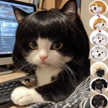 Peruca para animais de estimação, peruca para cães e gatos, acessórios para animais de estimação, cabelo cacheado, cabelo liso, faça você mesmo, acessório para peruca de cabelo trançado à mão