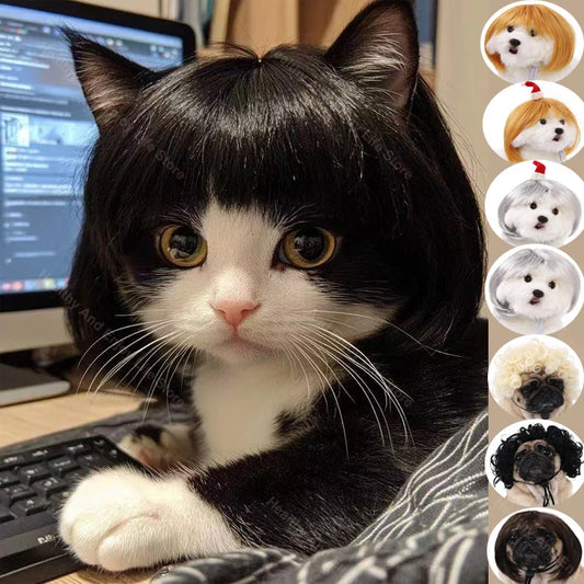 Peruca para animais de estimação, peruca para cães e gatos, acessórios para animais de estimação, cabelo cacheado, cabelo liso, faça você mesmo, acessório para peruca de cabelo trançado à mão