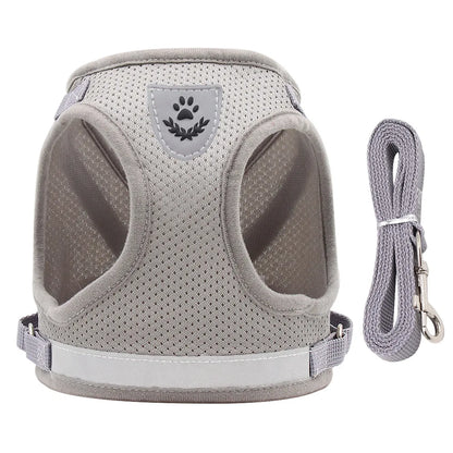 Conjunto de arnês e guia ajustável para cães e gatos, colete, coleira, filhotes, gatinhos, coleira e acessórios para animais de estimação