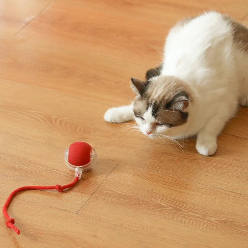 Bola de brinquedo interativa para gatos, bola rolante automática com cauda, brinquedo interativo inteligente recarregável para animais de estimação, rato inteligente para gatos