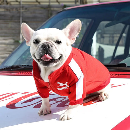 Jaqueta de beisebol para cachorro, roupas de inverno para cães pequenos e médios, colete para filhotes, moletom para buldogue francês, fantasia de chihuahua, casaco pug