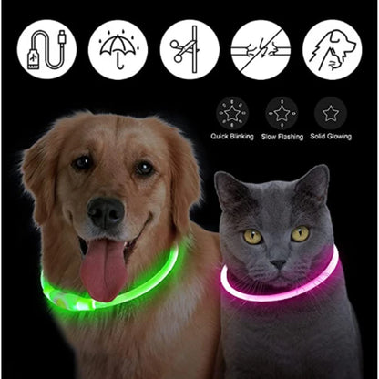 Coleira luminosa recarregável USB ajustável com LED brilhante para cães grandes e pequenos, coleira com luz noturna para gatos, arnês de segurança para animais de estimação