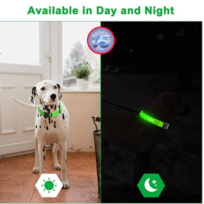 Coleira luminosa recarregável USB ajustável com LED brilhante para cães grandes e pequenos, coleira com luz noturna para gatos, arnês de segurança para animais de estimação