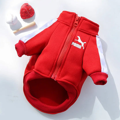 Jaqueta de beisebol para cachorro, roupas de inverno para cães pequenos e médios, colete para filhotes, moletom para buldogue francês, fantasia de chihuahua, casaco pug