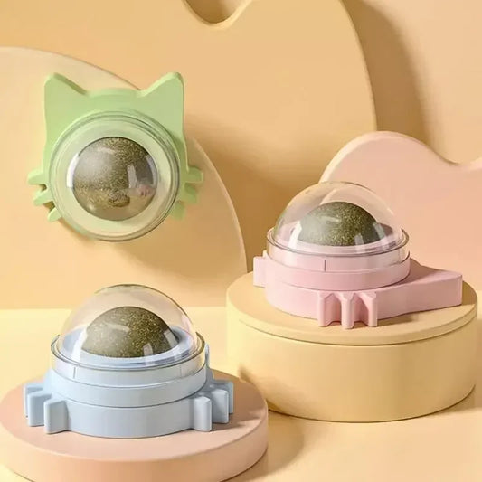 Bolas de Catnip Engraçadas para Gatos Lamber Bolas de Catnip Gatinho Brincando de Mastigar e Limpar os Dentes Brinquedo para Gatos Pequenos e Médios Suprimentos para Animais de Estimação