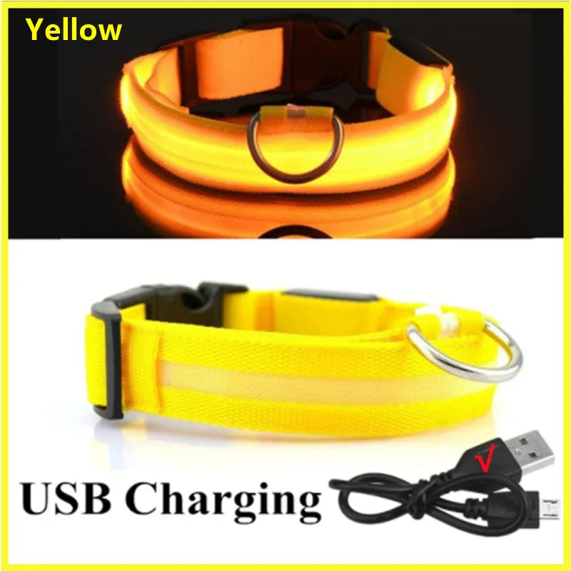 Coleira luminosa recarregável USB ajustável com LED brilhante para cães grandes e pequenos, coleira com luz noturna para gatos, arnês de segurança para animais de estimação