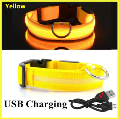 Coleira luminosa recarregável USB ajustável com LED brilhante para cães grandes e pequenos, coleira com luz noturna para gatos, arnês de segurança para animais de estimação