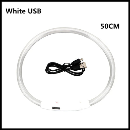 Coleira luminosa recarregável USB ajustável com LED brilhante para cães grandes e pequenos, coleira com luz noturna para gatos, arnês de segurança para animais de estimação