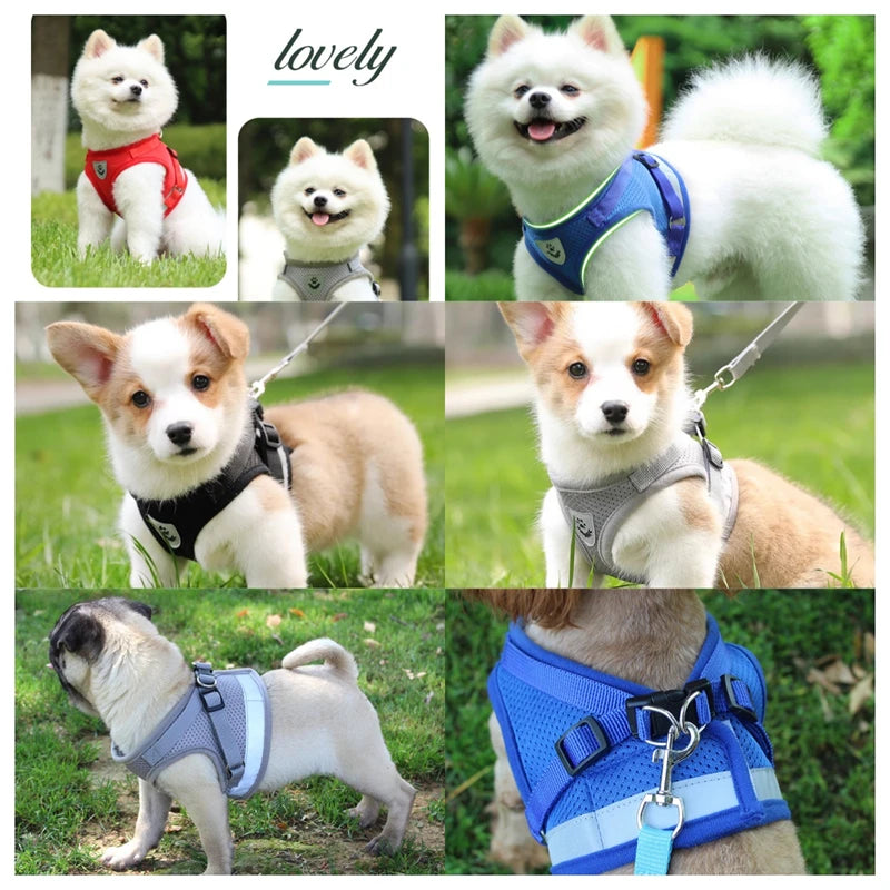 Conjunto de arnês e guia ajustável para cães e gatos, colete, coleira, filhotes, gatinhos, coleira e acessórios para animais de estimação