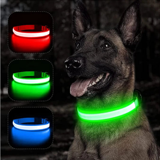 Coleira luminosa recarregável USB ajustável com LED brilhante para cães grandes e pequenos, coleira com luz noturna para gatos, arnês de segurança para animais de estimação