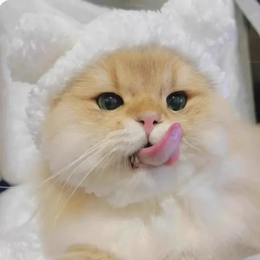 Boné de pelúcia engraçado para gato, urso, capa de cabeça fofa, chapéu de cachorro, chapéu de animal de estimação, gatinho, filhote, acessórios para fantasia cosplay