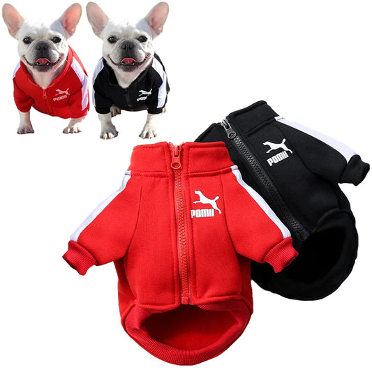 Jaqueta de beisebol para cachorro, roupas de inverno para cães pequenos e médios, colete para filhotes, moletom para buldogue francês, fantasia de chihuahua, casaco pug