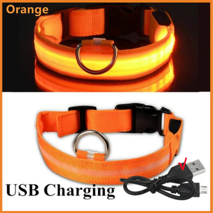 Coleira luminosa recarregável USB ajustável com LED brilhante para cães grandes e pequenos, coleira com luz noturna para gatos, arnês de segurança para animais de estimação