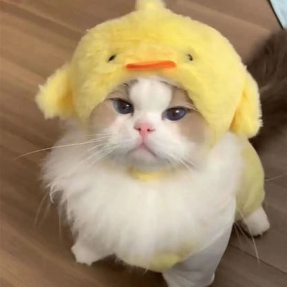 Boné de pelúcia engraçado para gato, urso, capa de cabeça fofa, chapéu de cachorro, chapéu de animal de estimação, gatinho, filhote, acessórios para fantasia cosplay