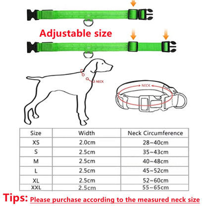 Coleira luminosa recarregável USB ajustável com LED brilhante para cães grandes e pequenos, coleira com luz noturna para gatos, arnês de segurança para animais de estimação