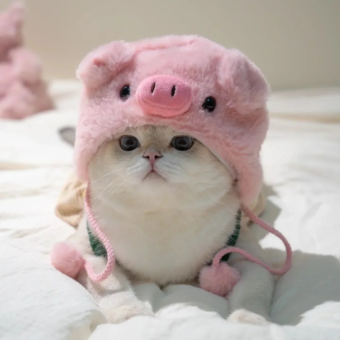 Boné de pelúcia engraçado para gato, urso, capa de cabeça fofa, chapéu de cachorro, chapéu de animal de estimação, gatinho, filhote, acessórios para fantasia cosplay